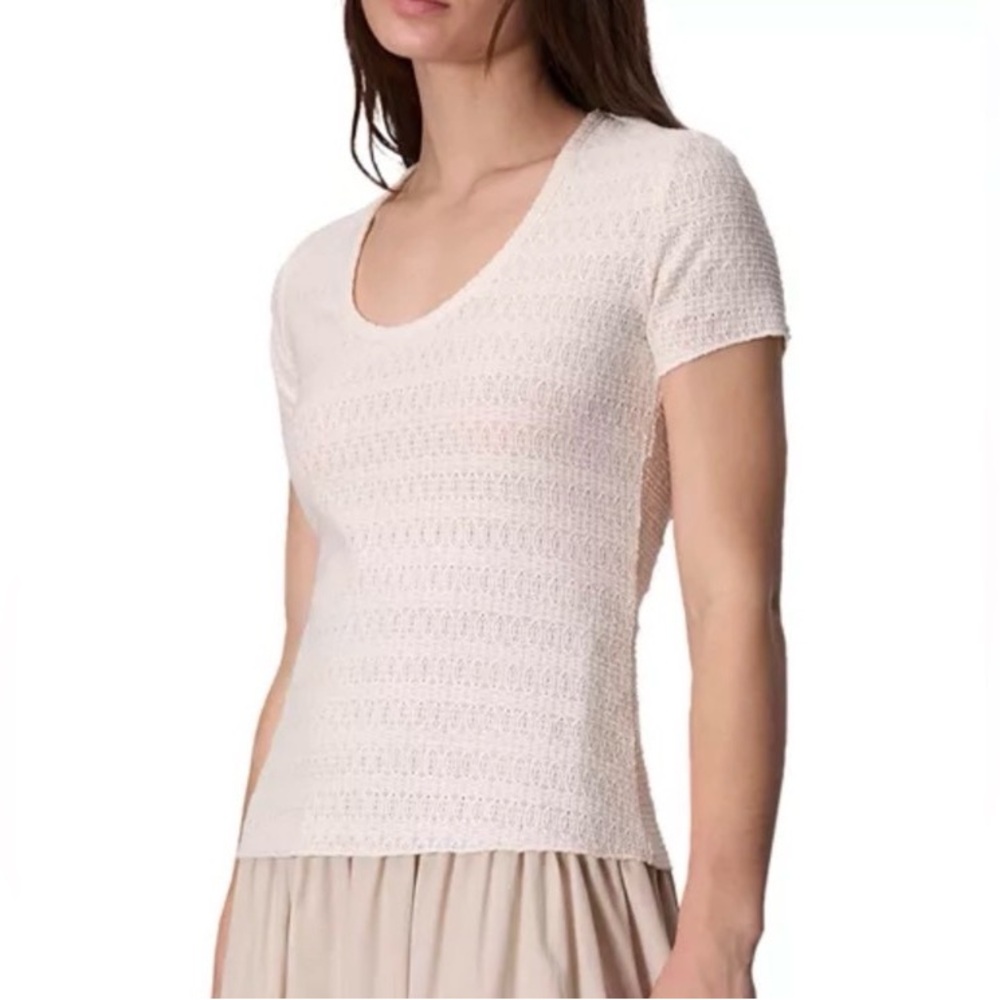 Rag & Bone Julia Textured Scoop Neck T-Shirt Pointelle Knit Quiet Luxury Small